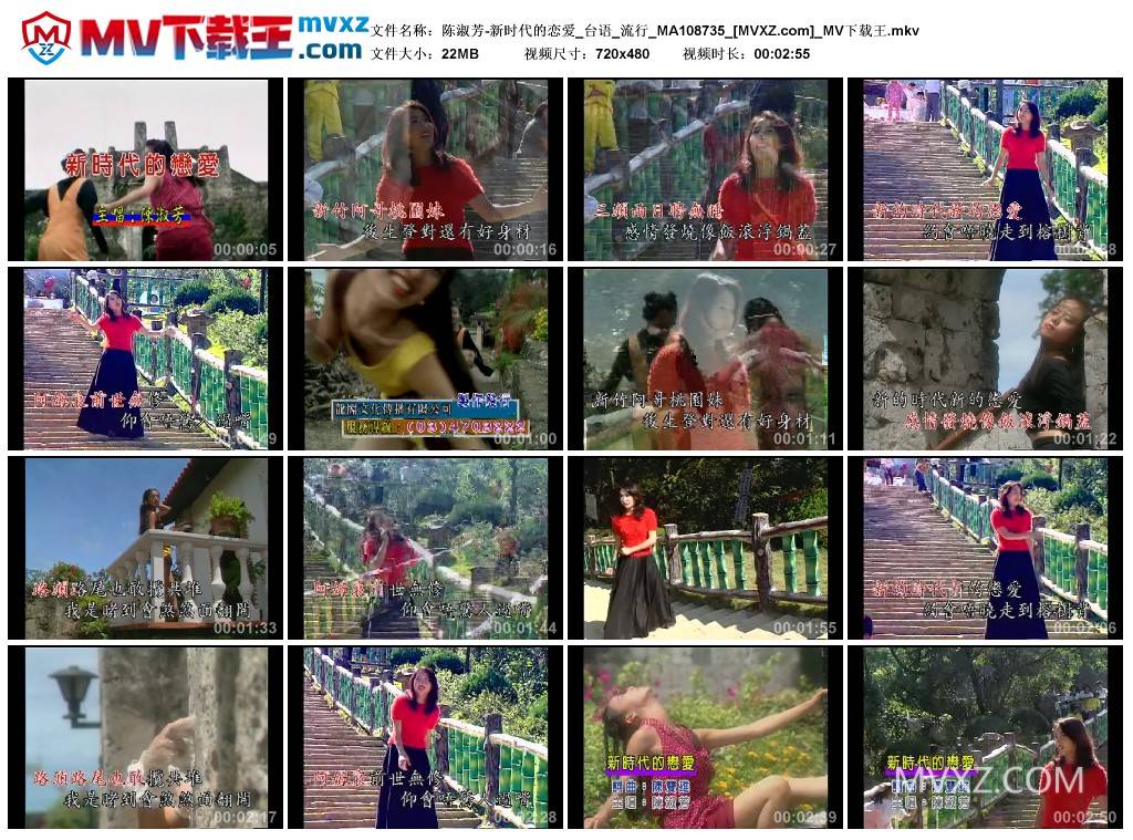 陈淑芳-新时代的恋爱_台语_流行_MA108735